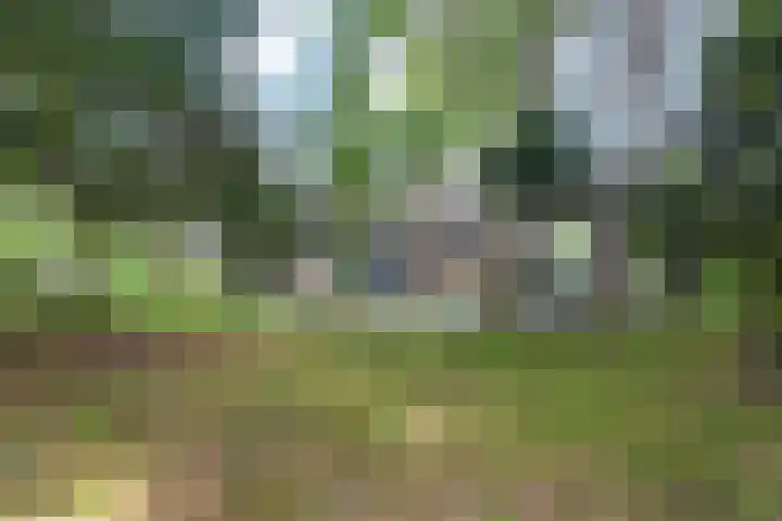 Van Voorschotenlaan 12 Den Haag thumbnail 67