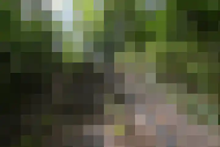 Van Voorschotenlaan 12 Den Haag thumbnail 68