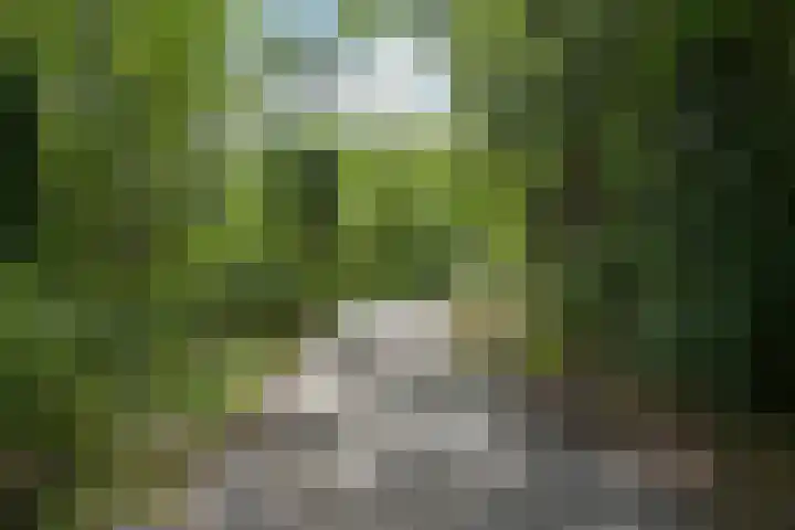 Van Voorschotenlaan 12 Den Haag thumbnail 69