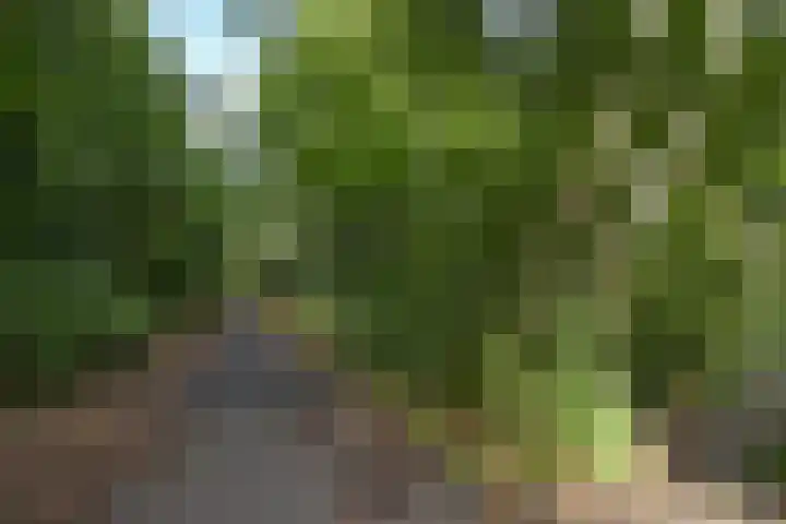 Van Voorschotenlaan 12 Den Haag thumbnail 70