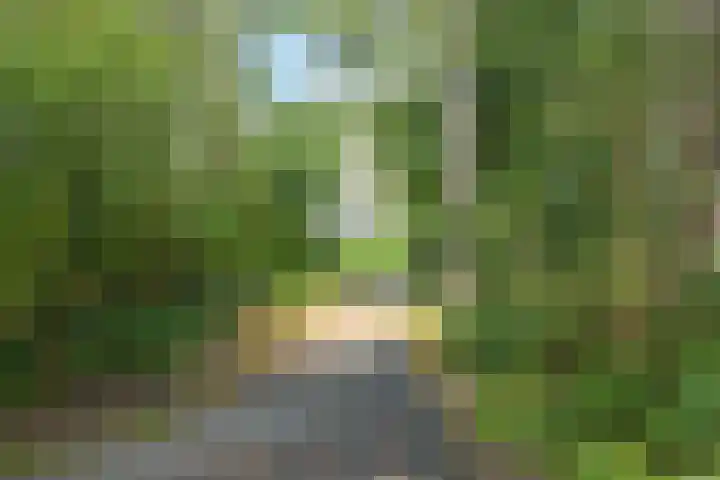 Van Voorschotenlaan 12 Den Haag thumbnail 71