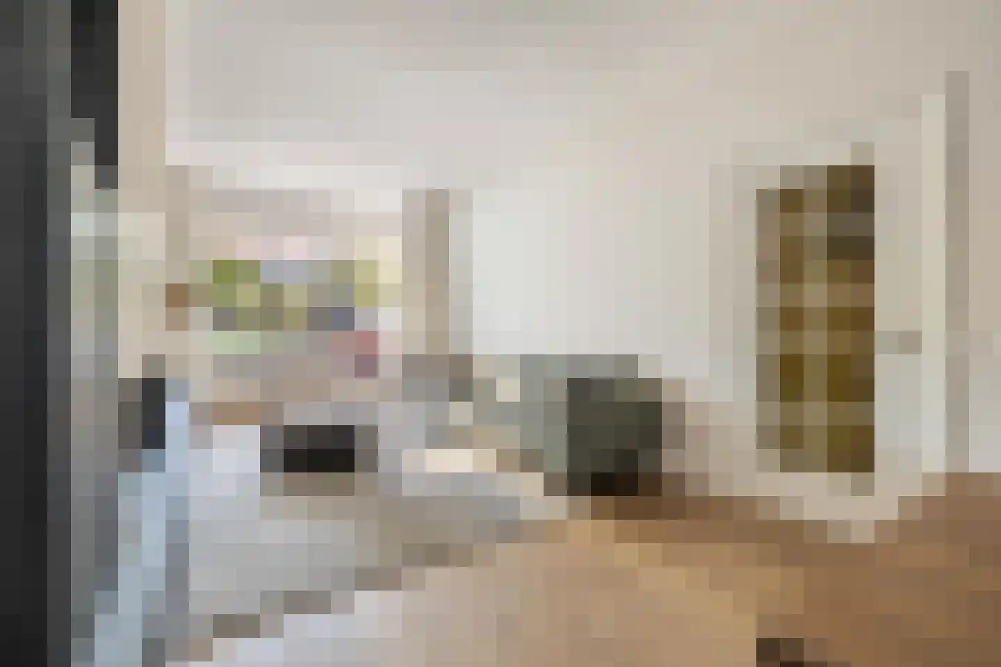 van Voorst tot Voorststraat 23 Breda thumbnail 13