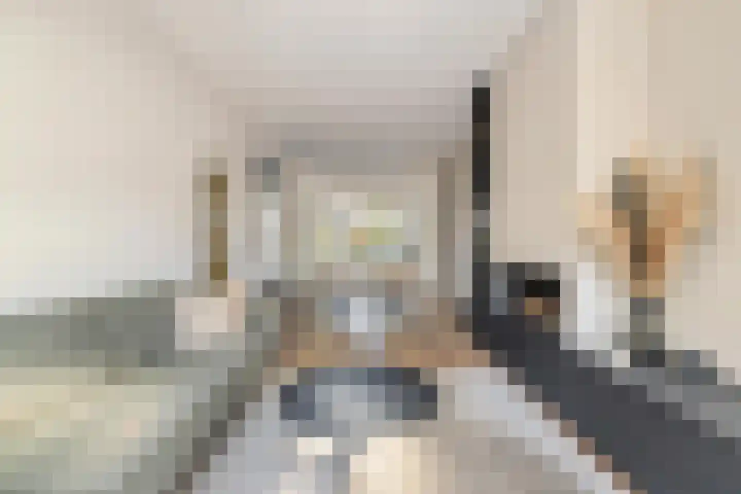 van Voorst tot Voorststraat 23 Breda thumbnail 15