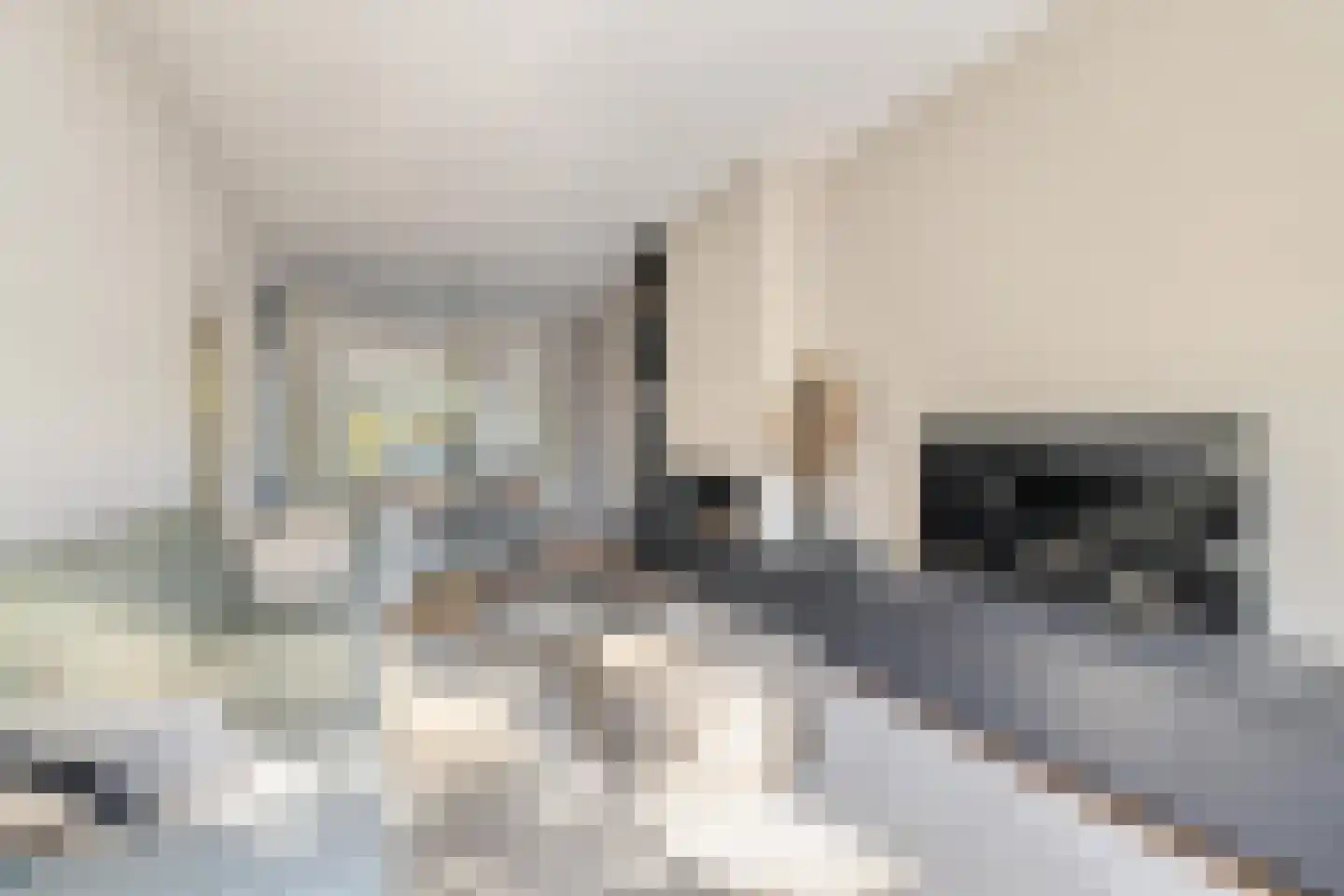 van Voorst tot Voorststraat 23 Breda thumbnail 16