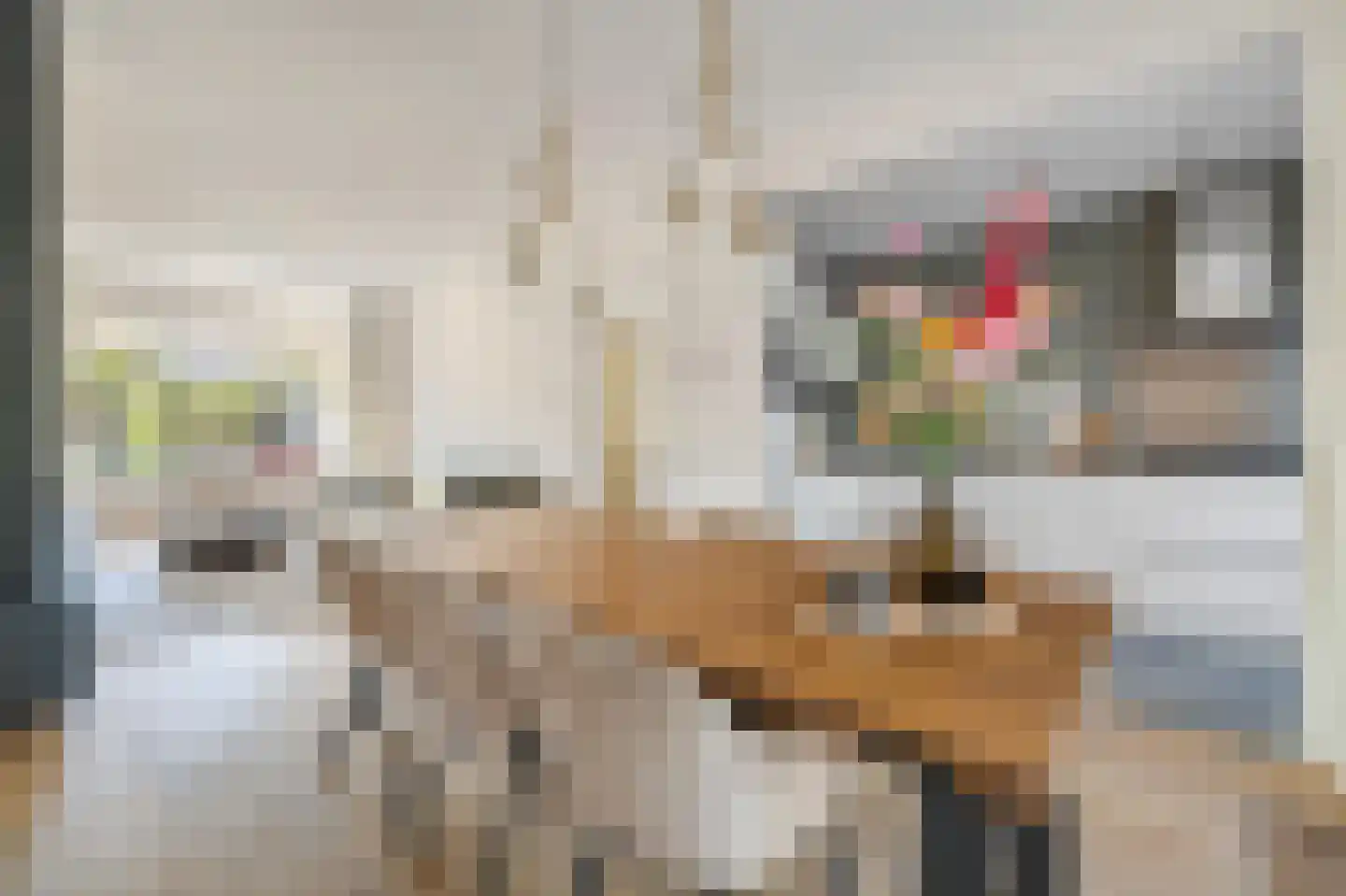 van Voorst tot Voorststraat 23 Breda thumbnail 20
