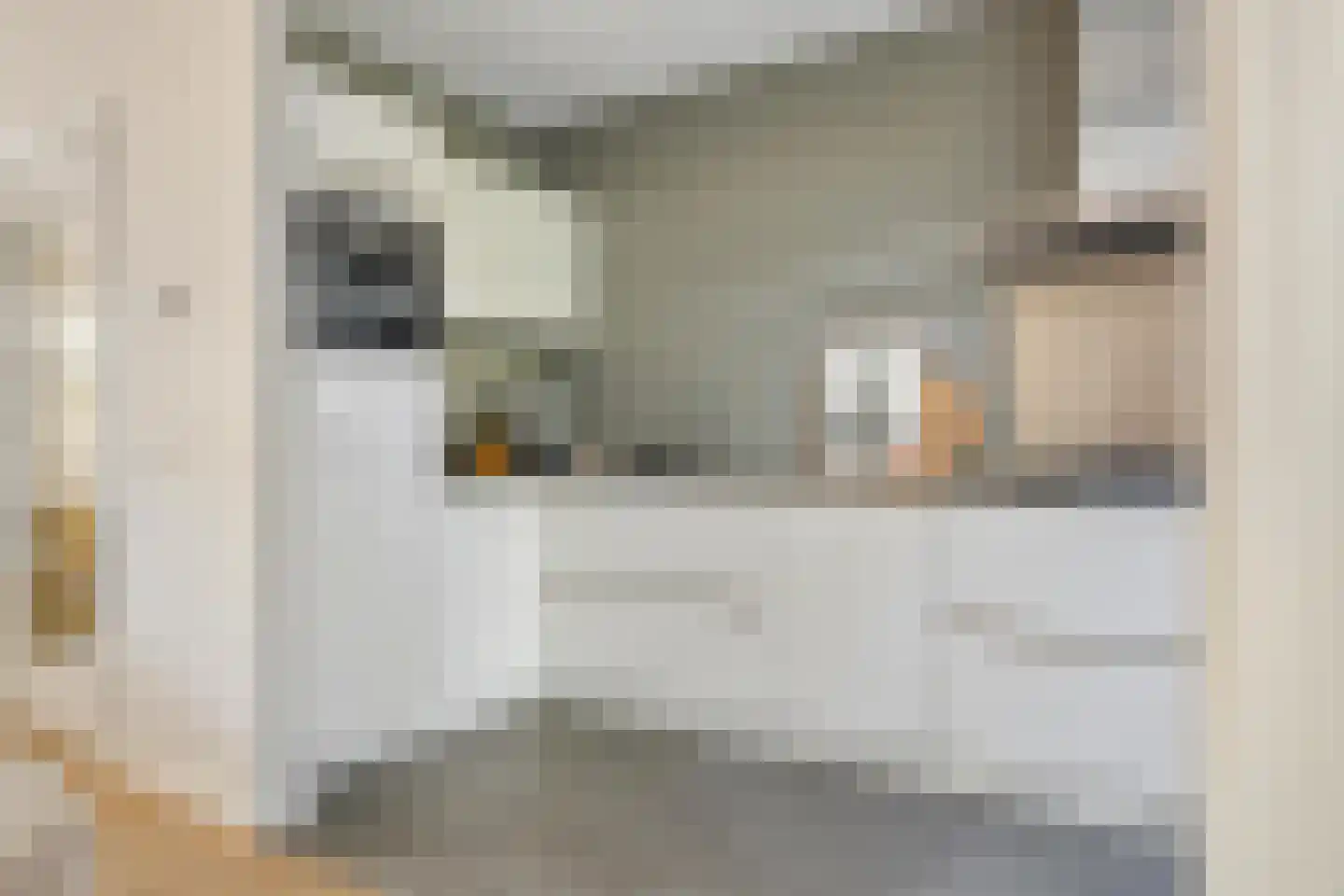 van Voorst tot Voorststraat 23 Breda thumbnail 21