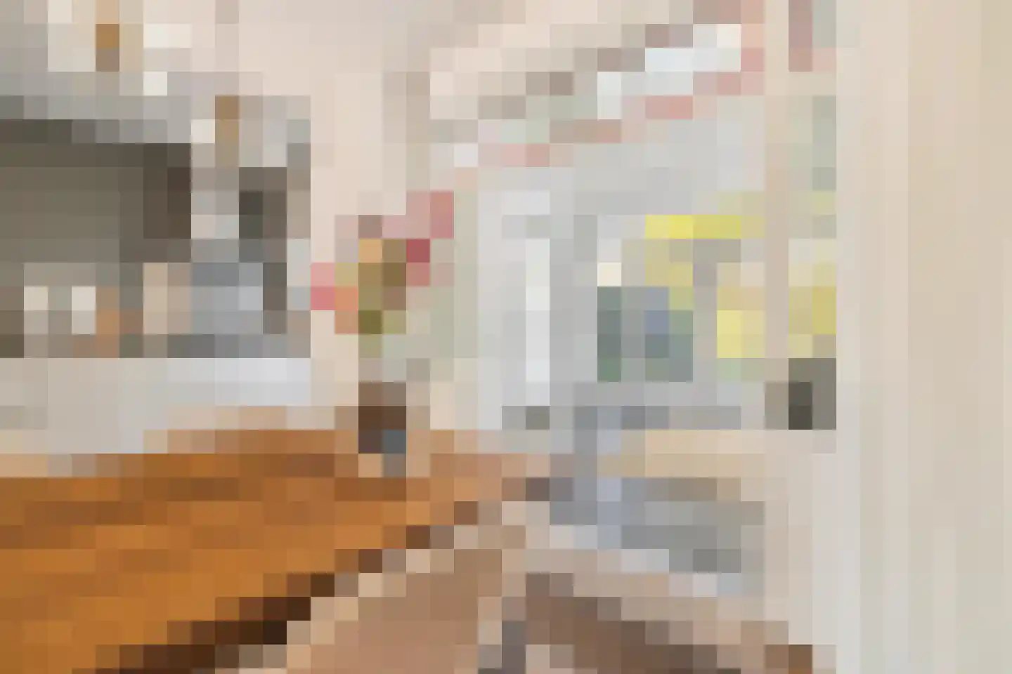 van Voorst tot Voorststraat 23 Breda thumbnail 25