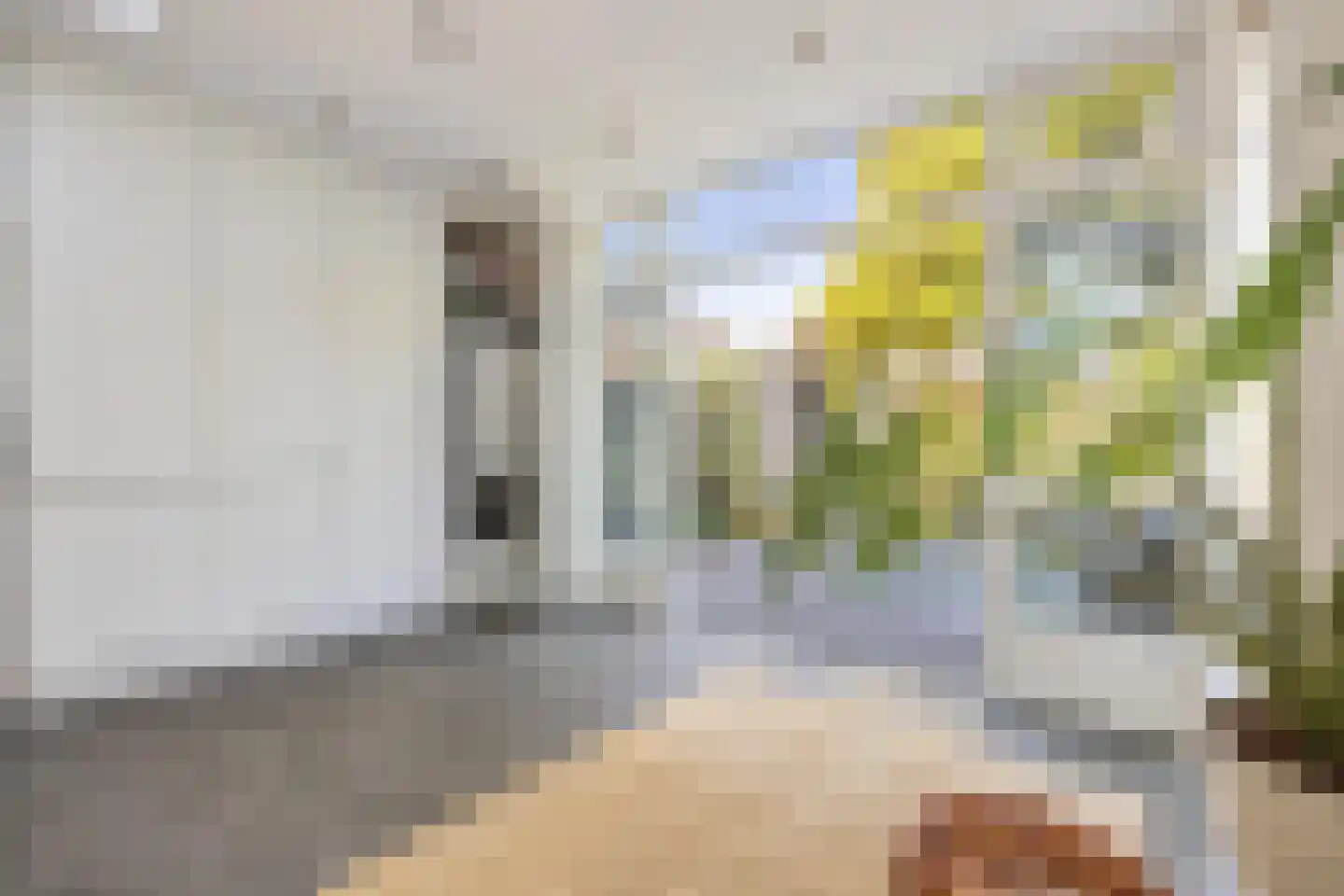 van Voorst tot Voorststraat 23 Breda thumbnail 30