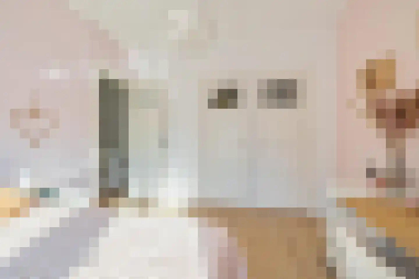van Voorst tot Voorststraat 23 Breda thumbnail 34