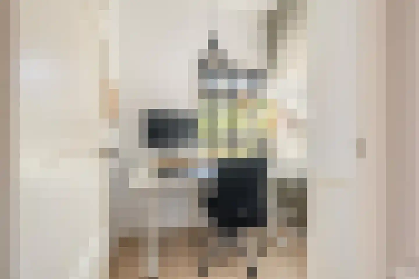 van Voorst tot Voorststraat 23 Breda thumbnail 37