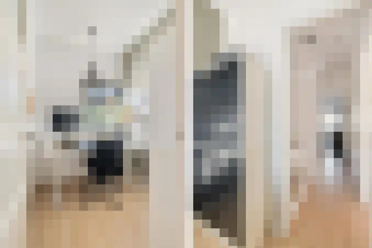 van Voorst tot Voorststraat 23 Breda thumbnail 38