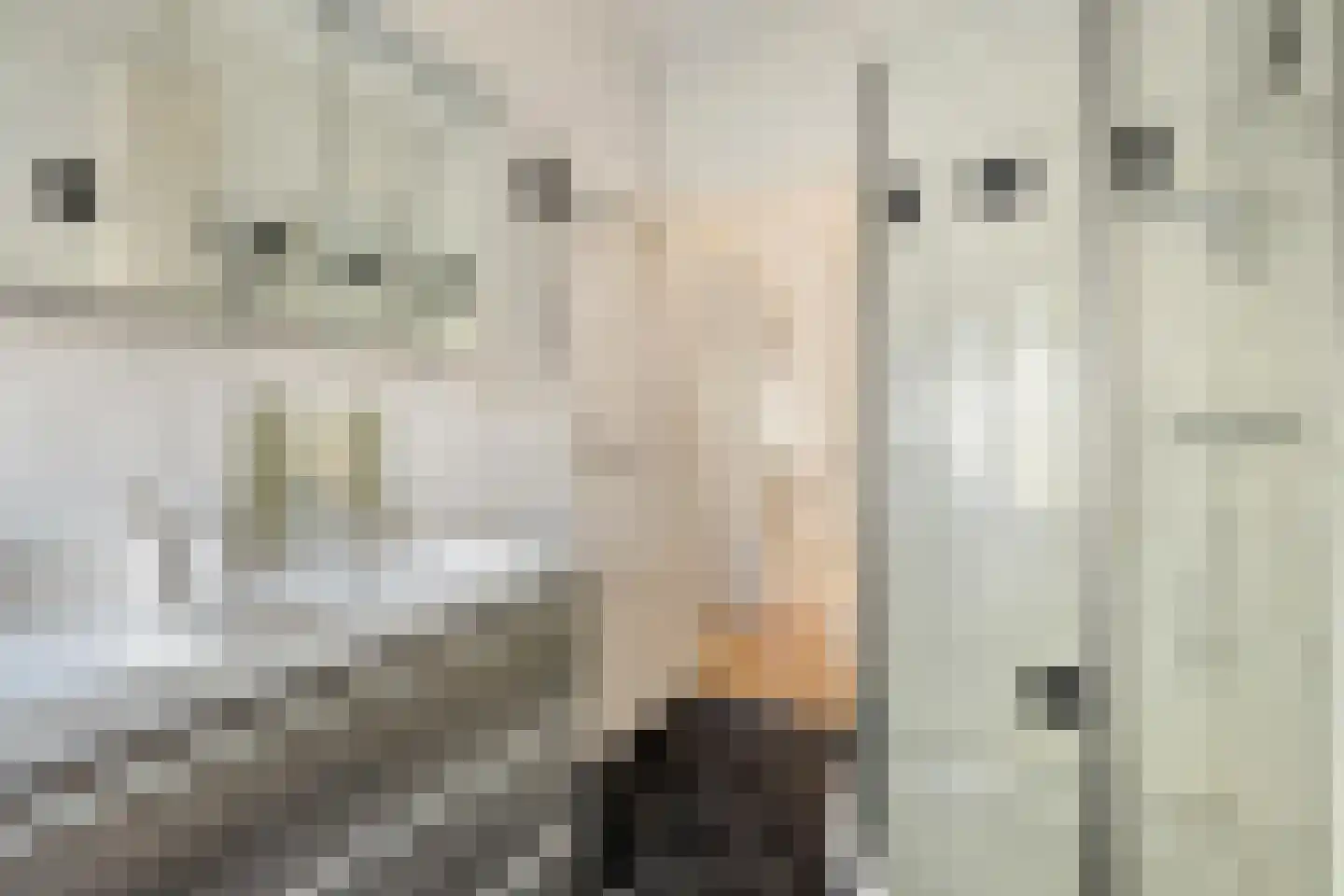 van Voorst tot Voorststraat 23 Breda thumbnail 40