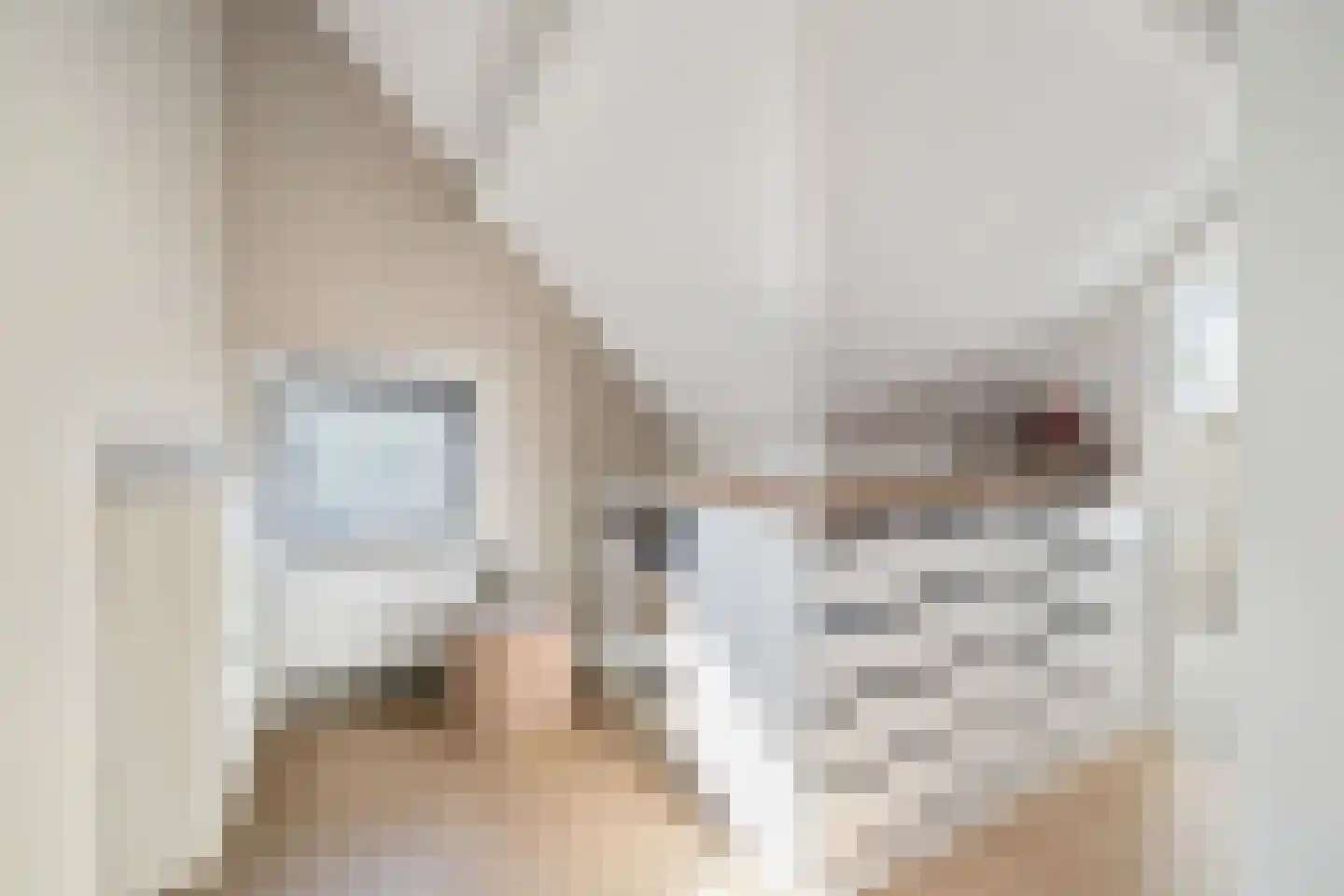 van Voorst tot Voorststraat 23 Breda thumbnail 41