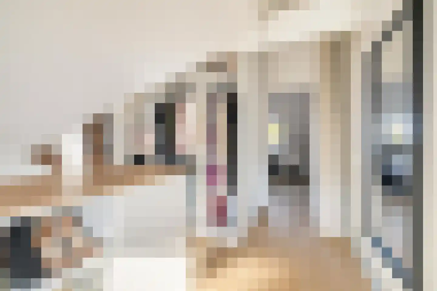 van Voorst tot Voorststraat 23 Breda thumbnail 42