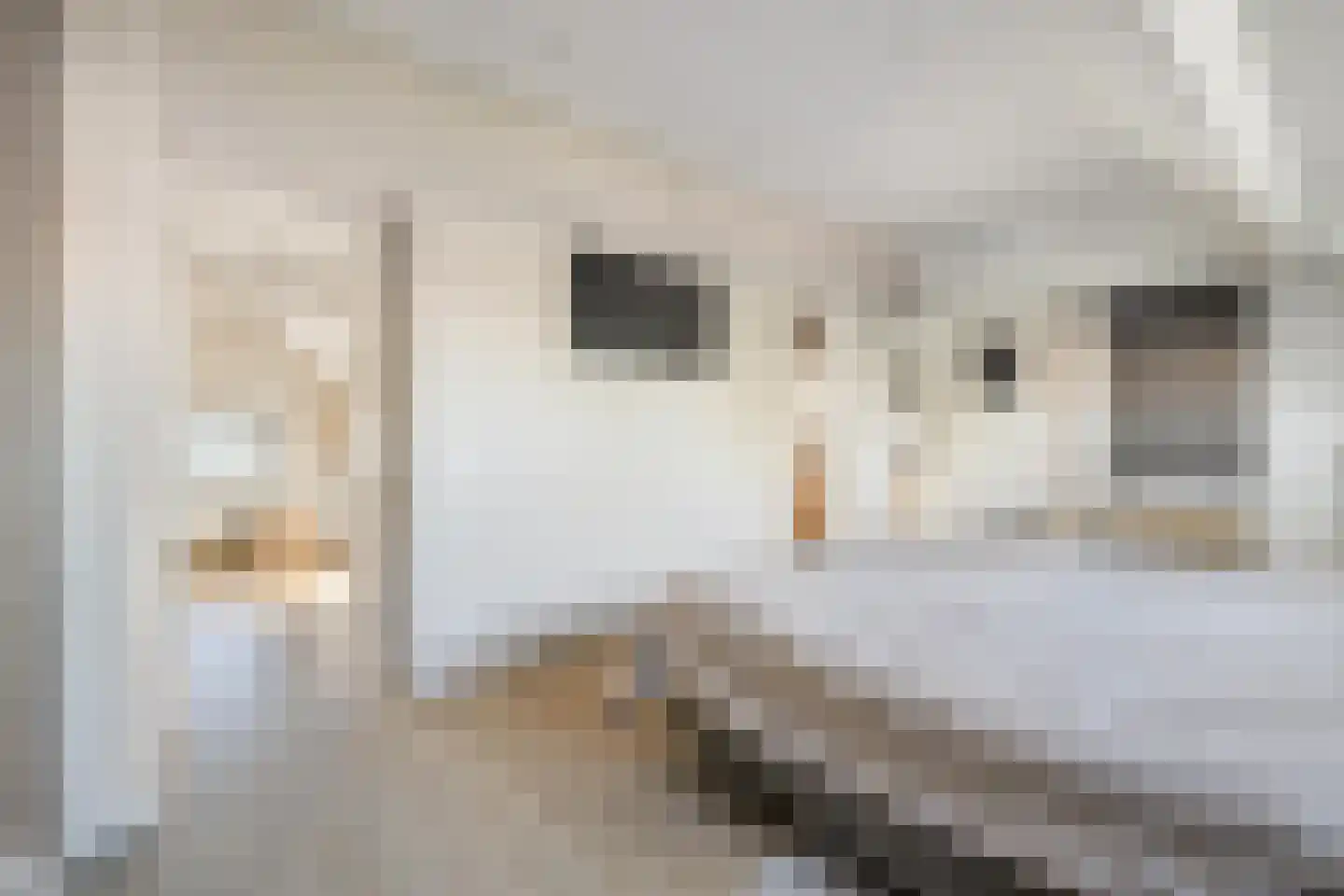 van Voorst tot Voorststraat 23 Breda thumbnail 44