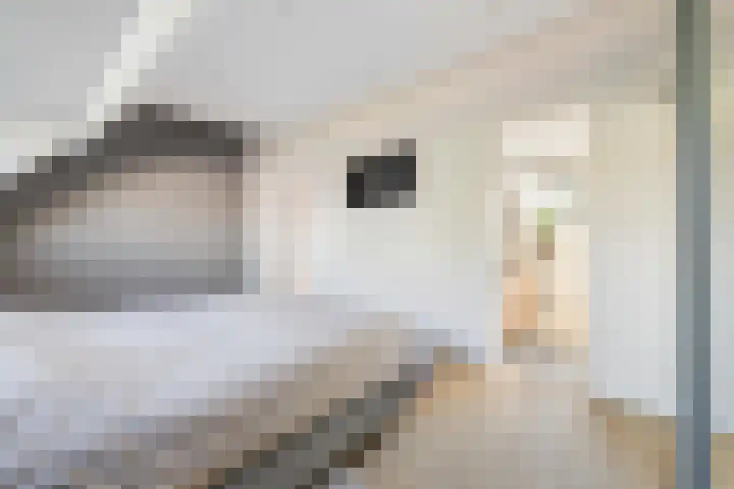van Voorst tot Voorststraat 23 Breda thumbnail 46