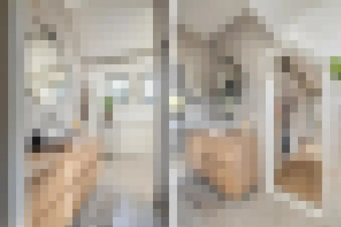 van Voorst tot Voorststraat 23 Breda thumbnail 48