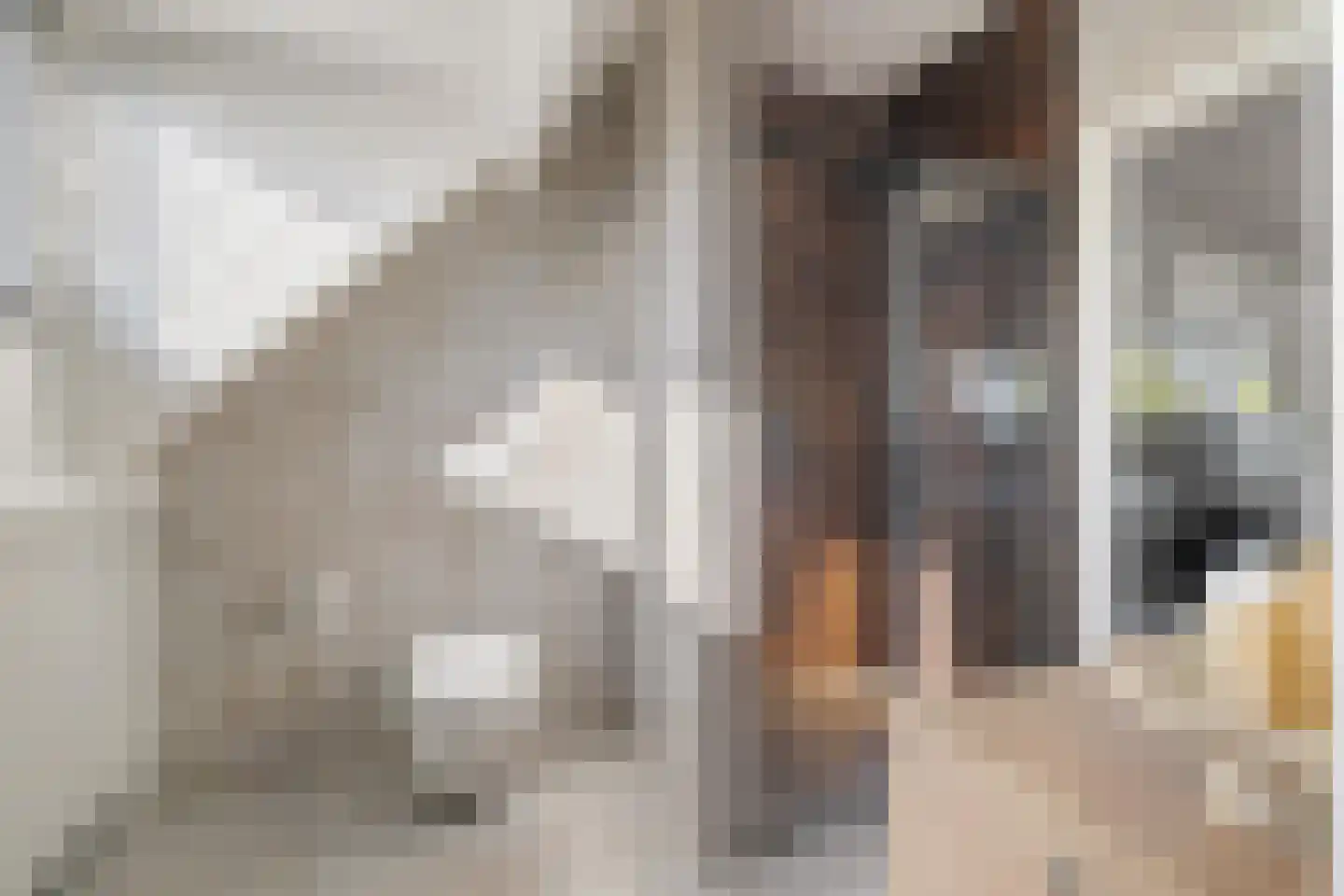 van Voorst tot Voorststraat 23 Breda thumbnail 50