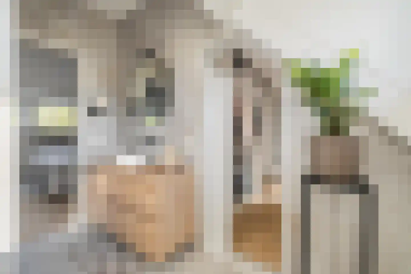 van Voorst tot Voorststraat 23 Breda thumbnail 51