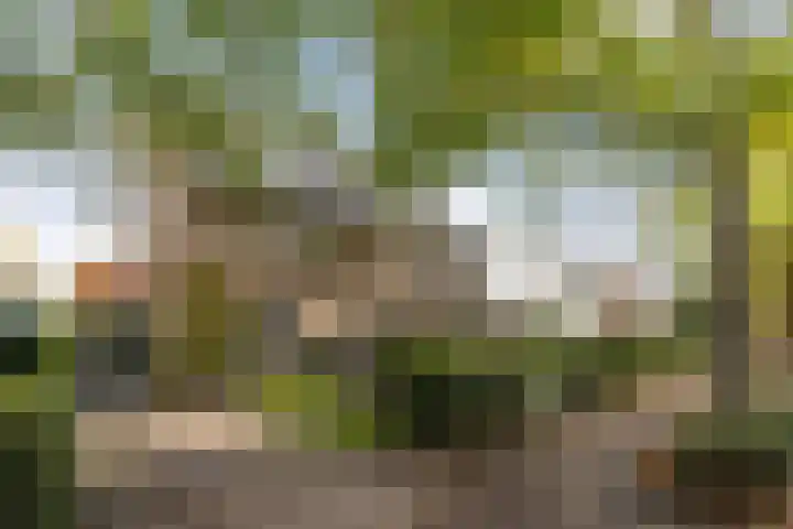 Van Voorst tot Voorststraat 26 Vught thumbnail 11