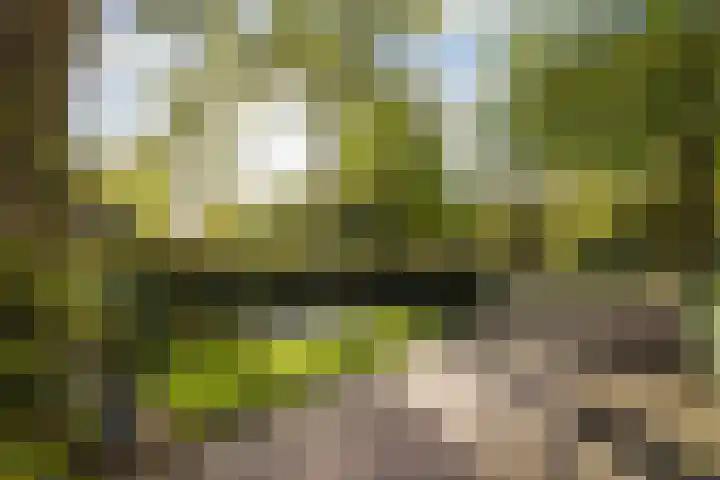 Van Voorst tot Voorststraat 26 Vught thumbnail 12