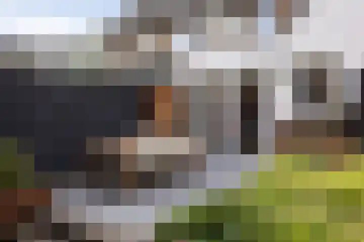 Van Voorst tot Voorststraat 26 Vught thumbnail 34