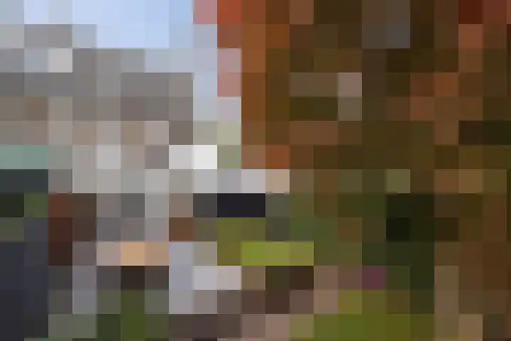 Van Voorst tot Voorststraat 26 Vught thumbnail 42