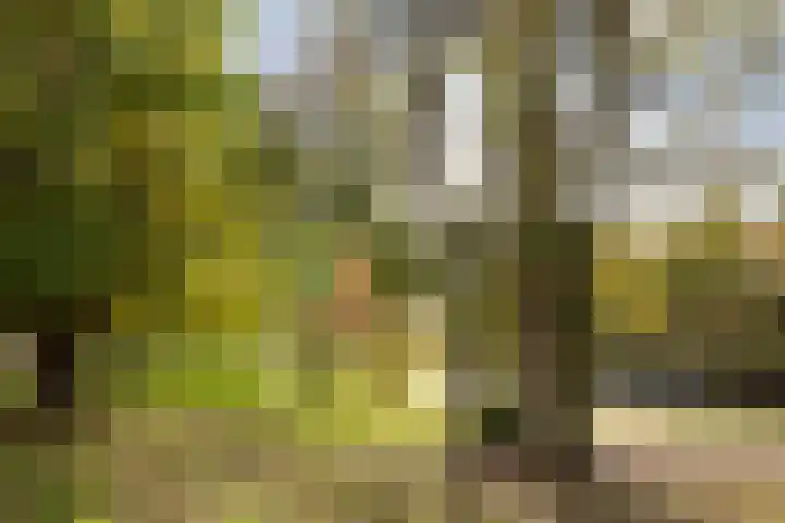 Van Voorst tot Voorststraat 26 Vught thumbnail 65