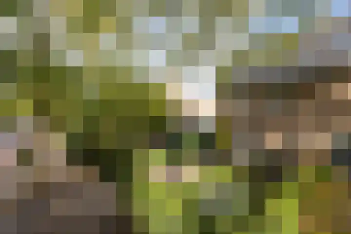 Van Voorst tot Voorststraat 26 Vught thumbnail 7
