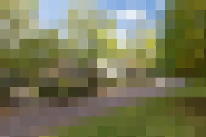 Van Voorst tot Voorststraat 26 Vught thumbnail 8