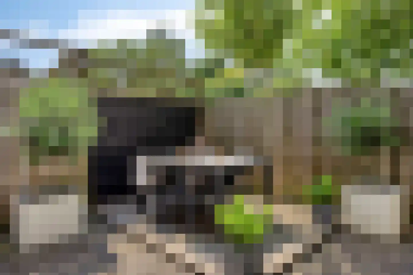 Van Voorst tot Voorststraat 29 Vught thumbnail 15