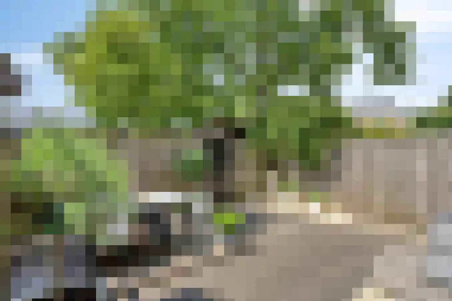 Van Voorst tot Voorststraat 29 Vught thumbnail 18