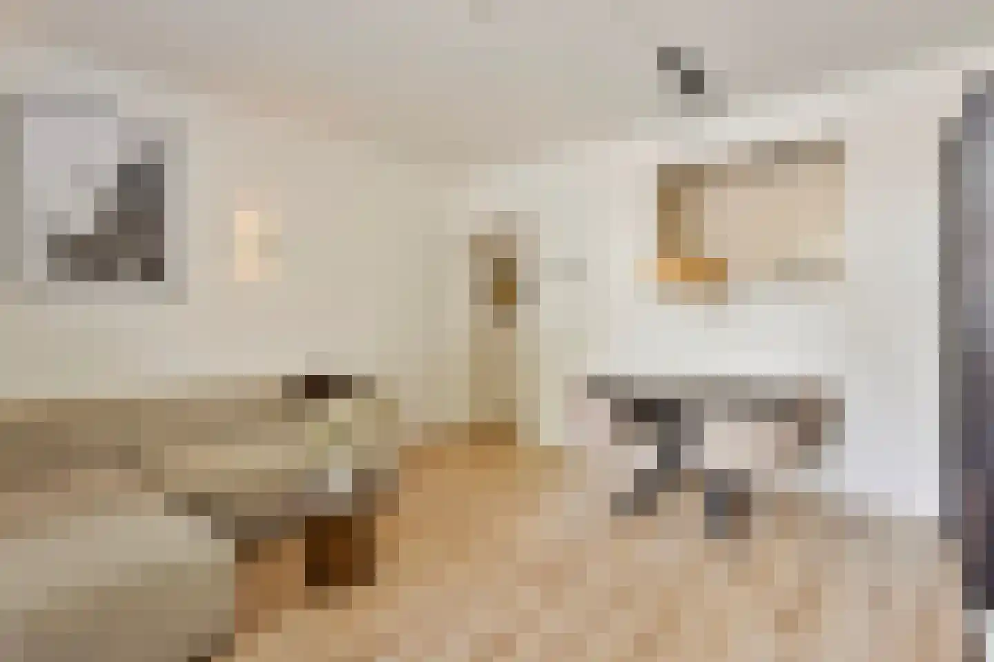 Van Voorst tot Voorststraat 29 Vught thumbnail 4