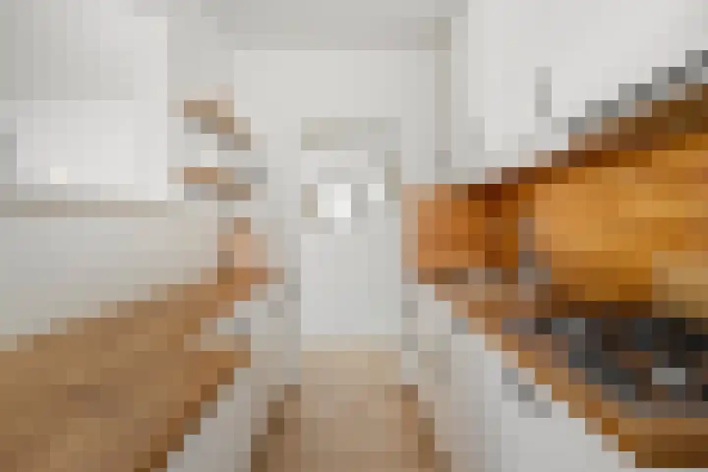 Van Voorst tot Voorststraat 29 Vught thumbnail 8