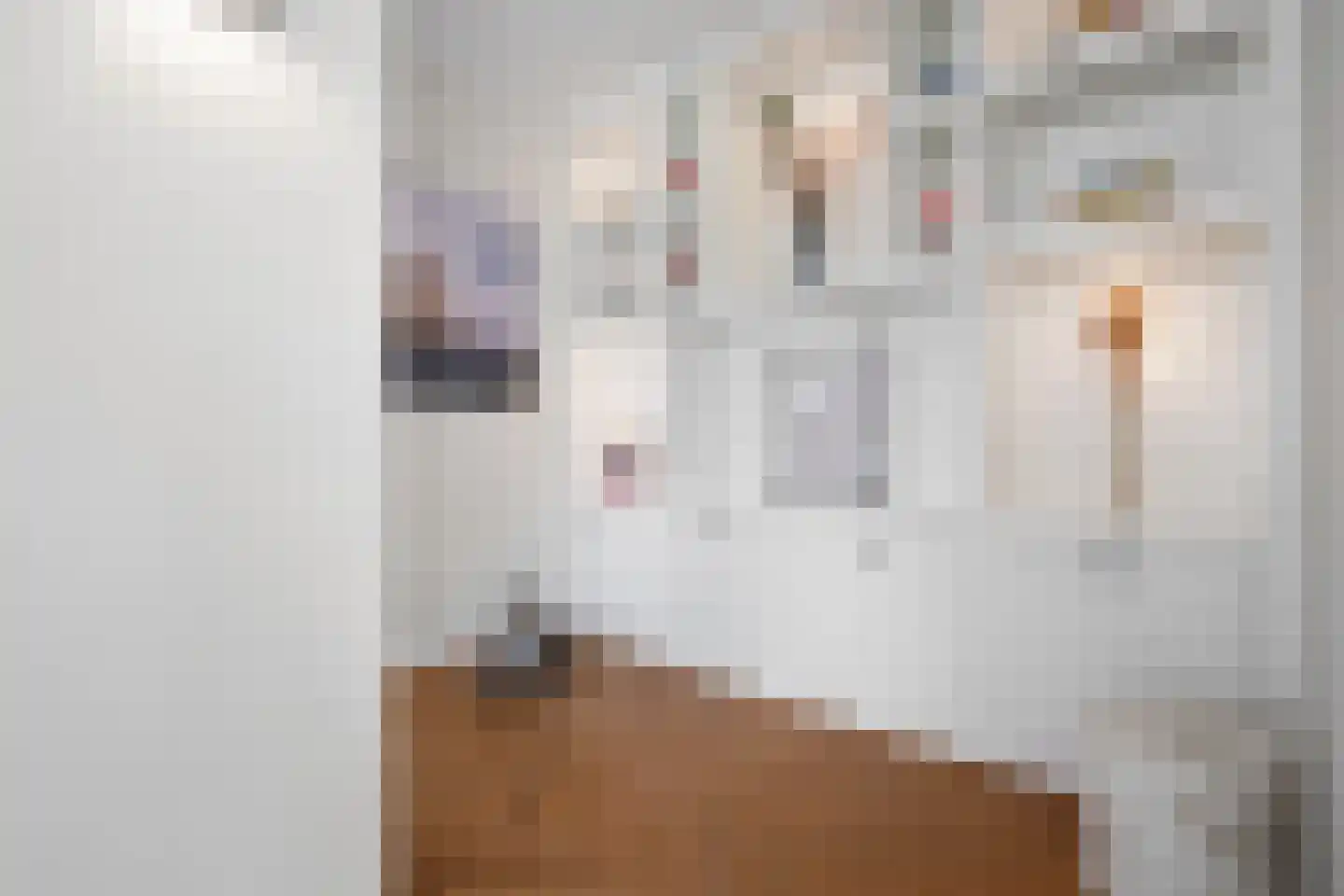 Van Voorst tot Voorststraat 47 Vught thumbnail 13
