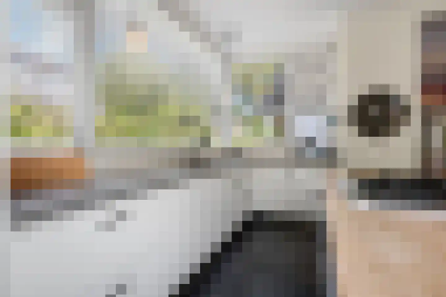 Van Voorst tot Voorststraat 47 Vught thumbnail 16