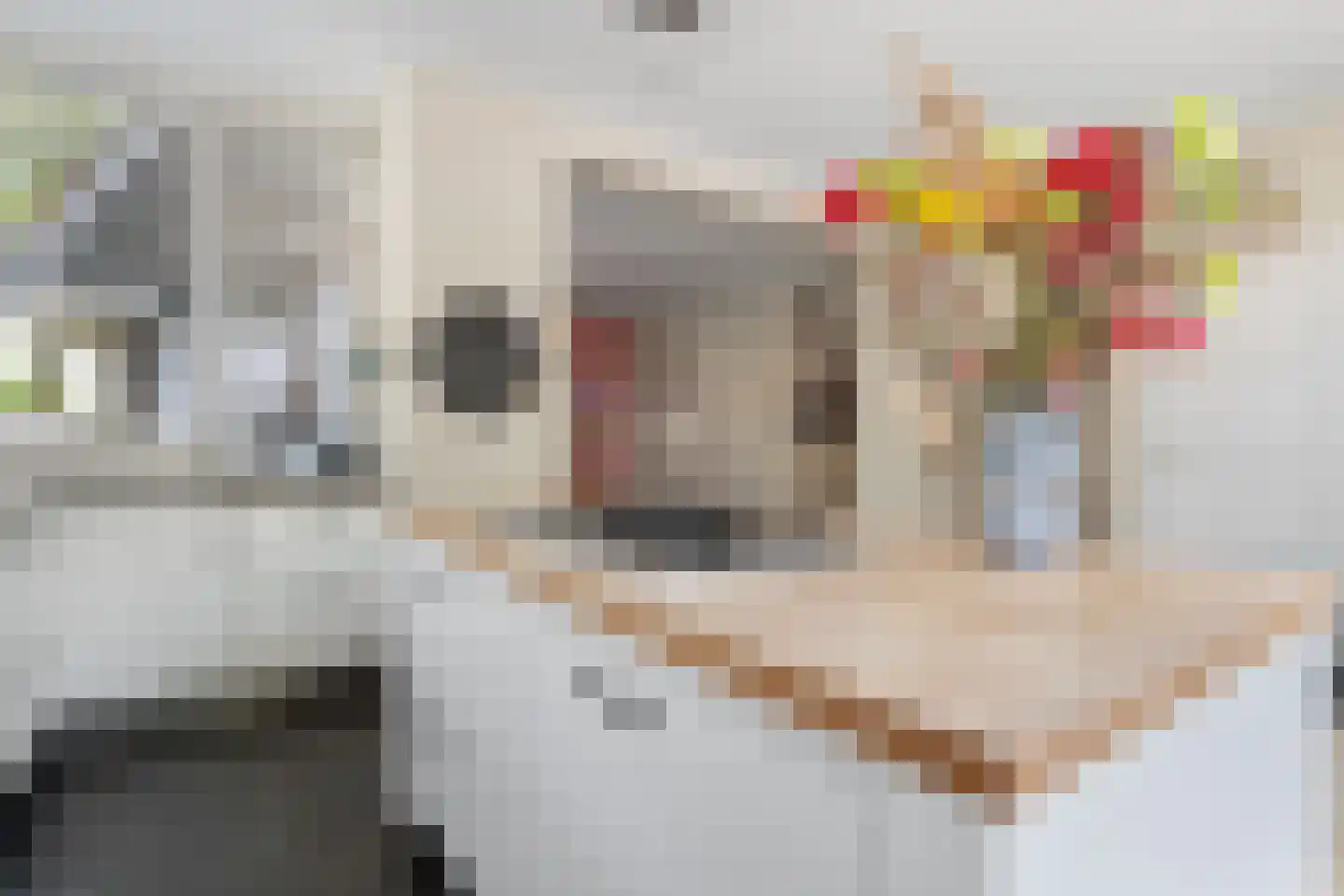Van Voorst tot Voorststraat 47 Vught thumbnail 17