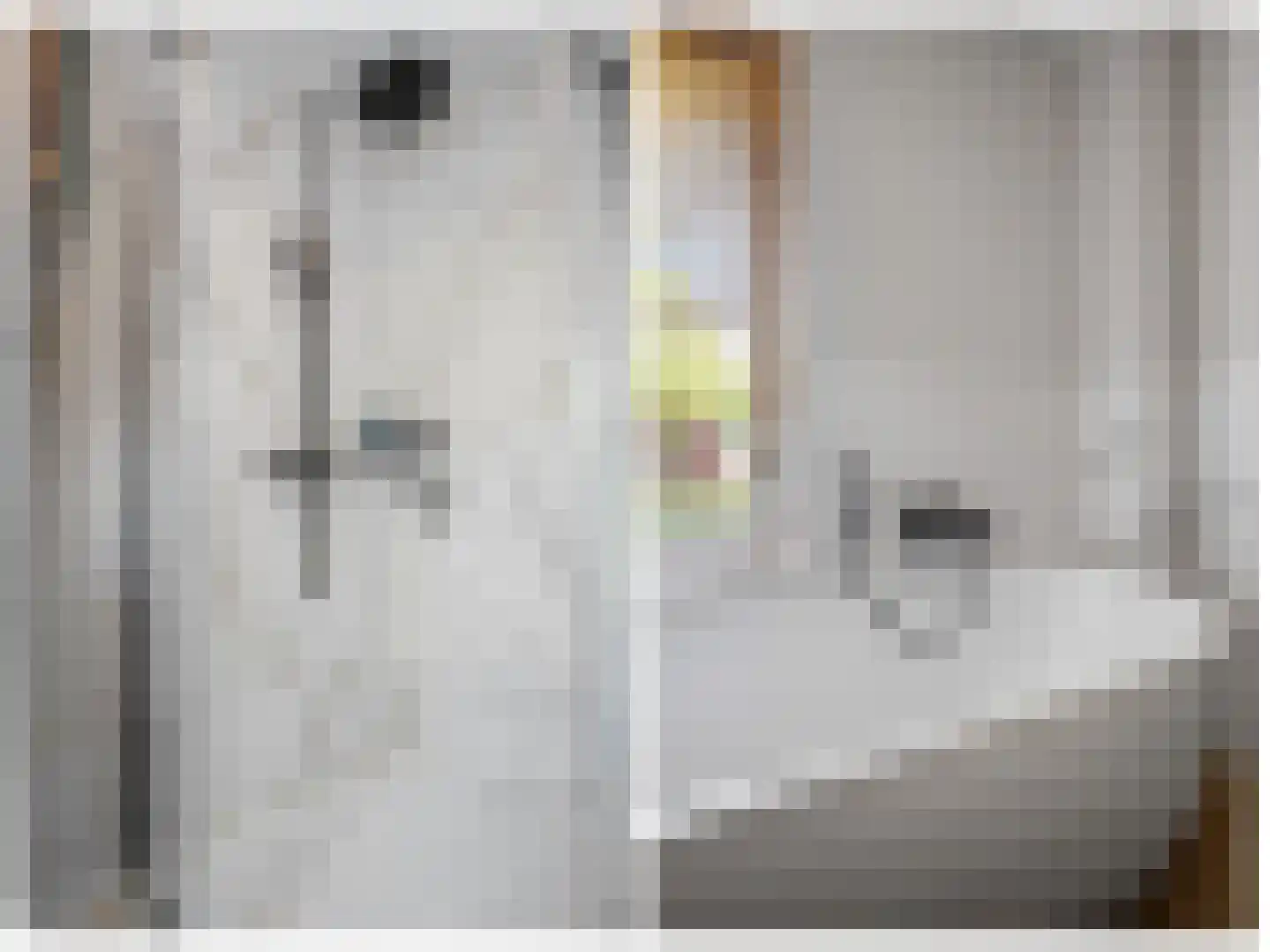 Van Voorst tot Voorststraat 47 Vught thumbnail 34