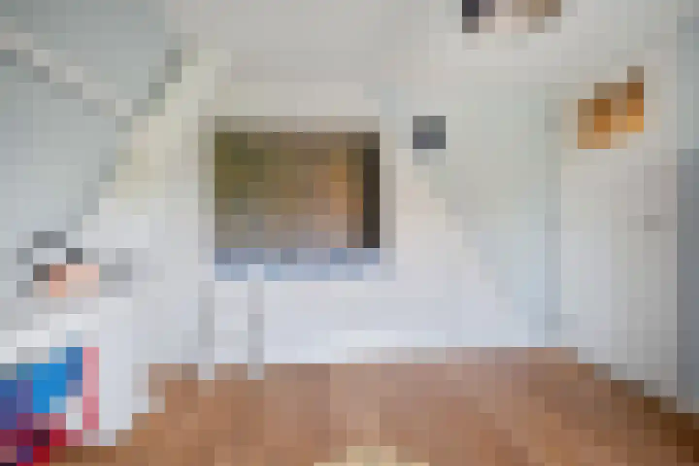 Van Voorst tot Voorststraat 47 Vught thumbnail 39