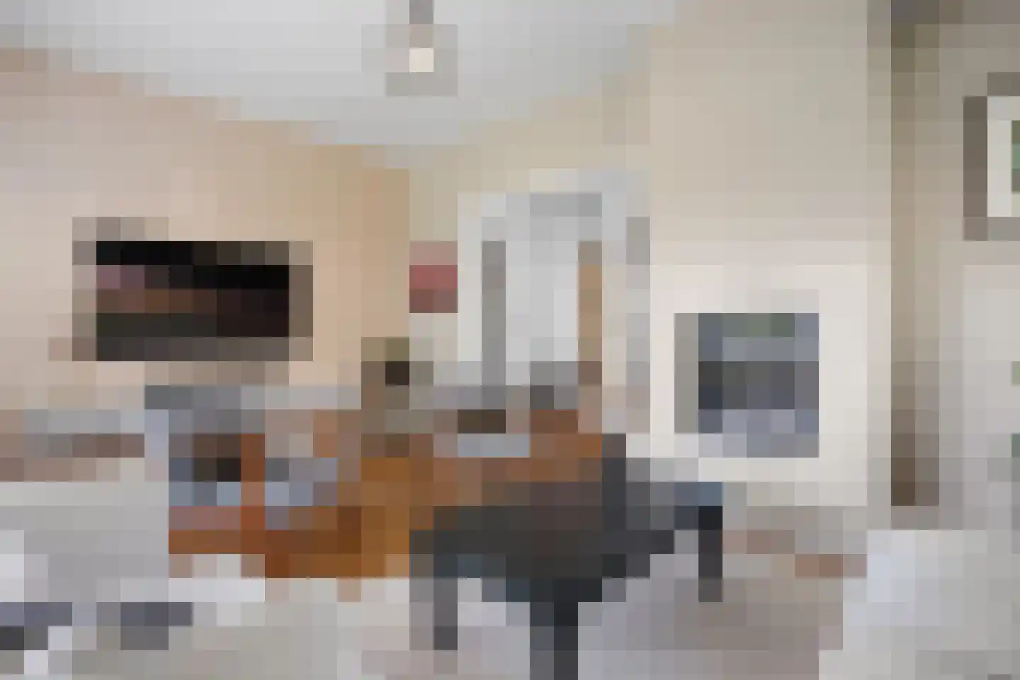 Van Voorst tot Voorststraat 47 Vught thumbnail 7