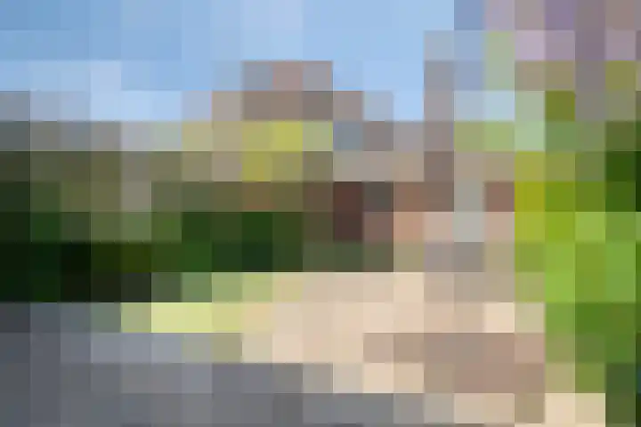 van Voorst tot Voorststraat 63 Breda thumbnail 37