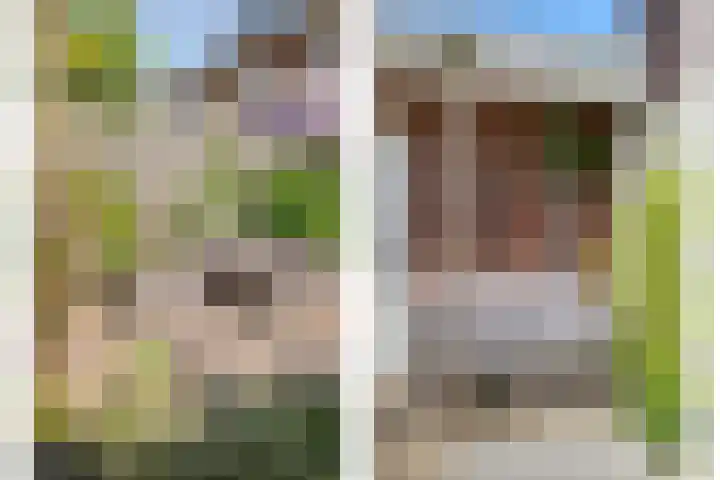 van Voorst tot Voorststraat 63 Breda thumbnail 39