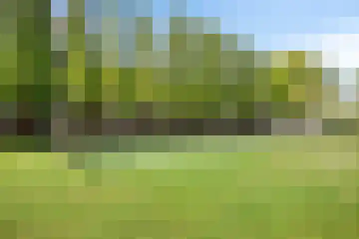 van Voorst tot Voorststraat 63 Breda thumbnail 46