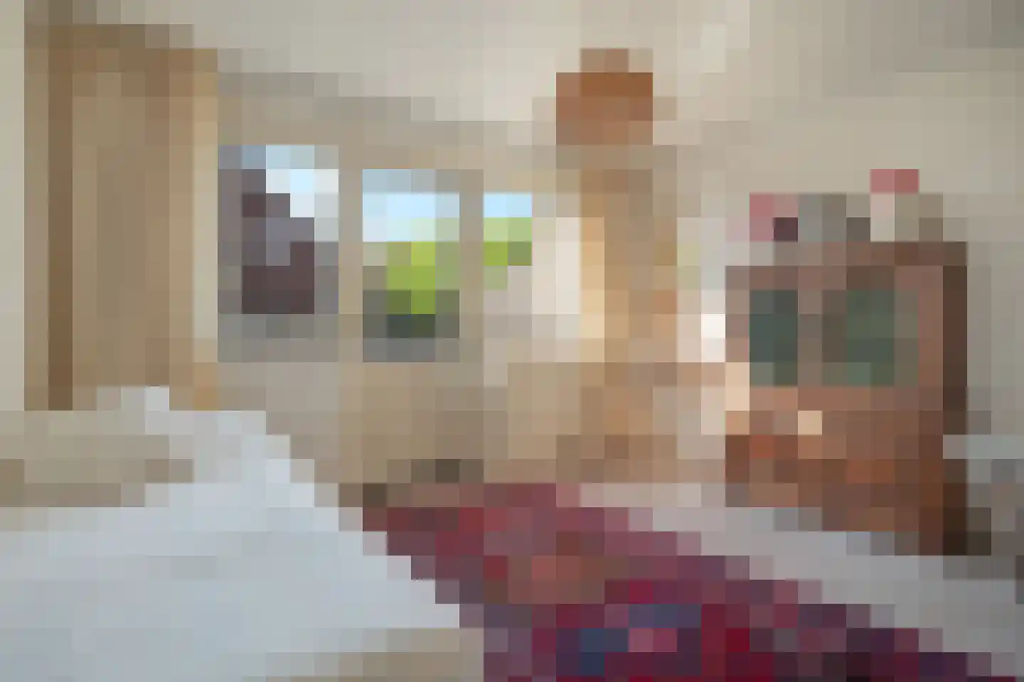 Van Voorst tot Voorststraat 8 Vught thumbnail 25