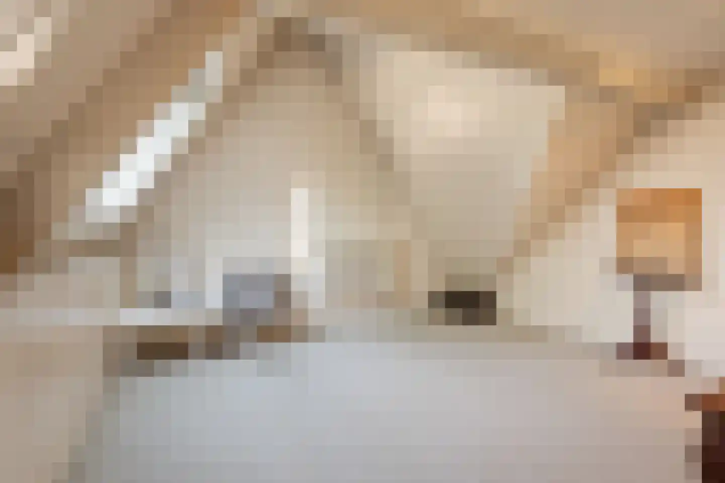Van Voorst tot Voorststraat 8 Vught thumbnail 38