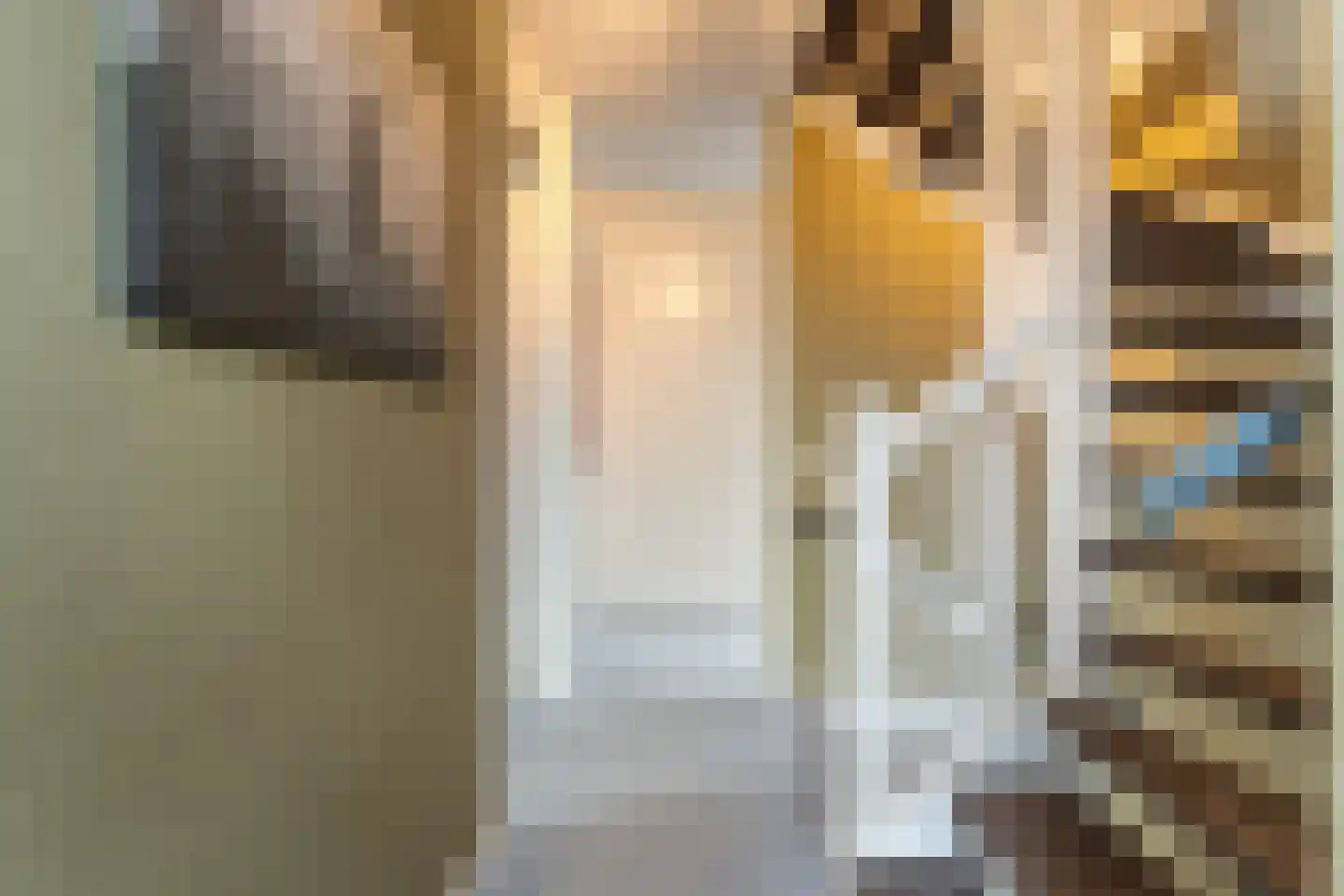 Van Voorststraat 29 Hardenberg thumbnail 33