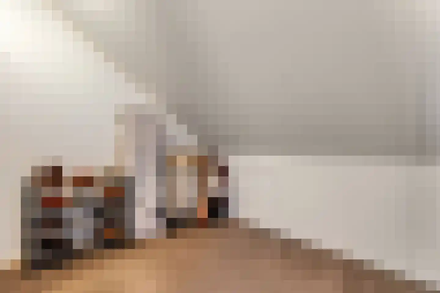 Van Voorststraat 29 Hardenberg thumbnail 36