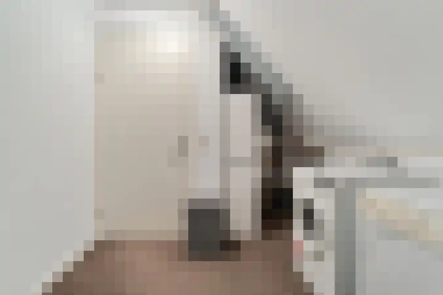 Van Voorststraat 29 Hardenberg thumbnail 41
