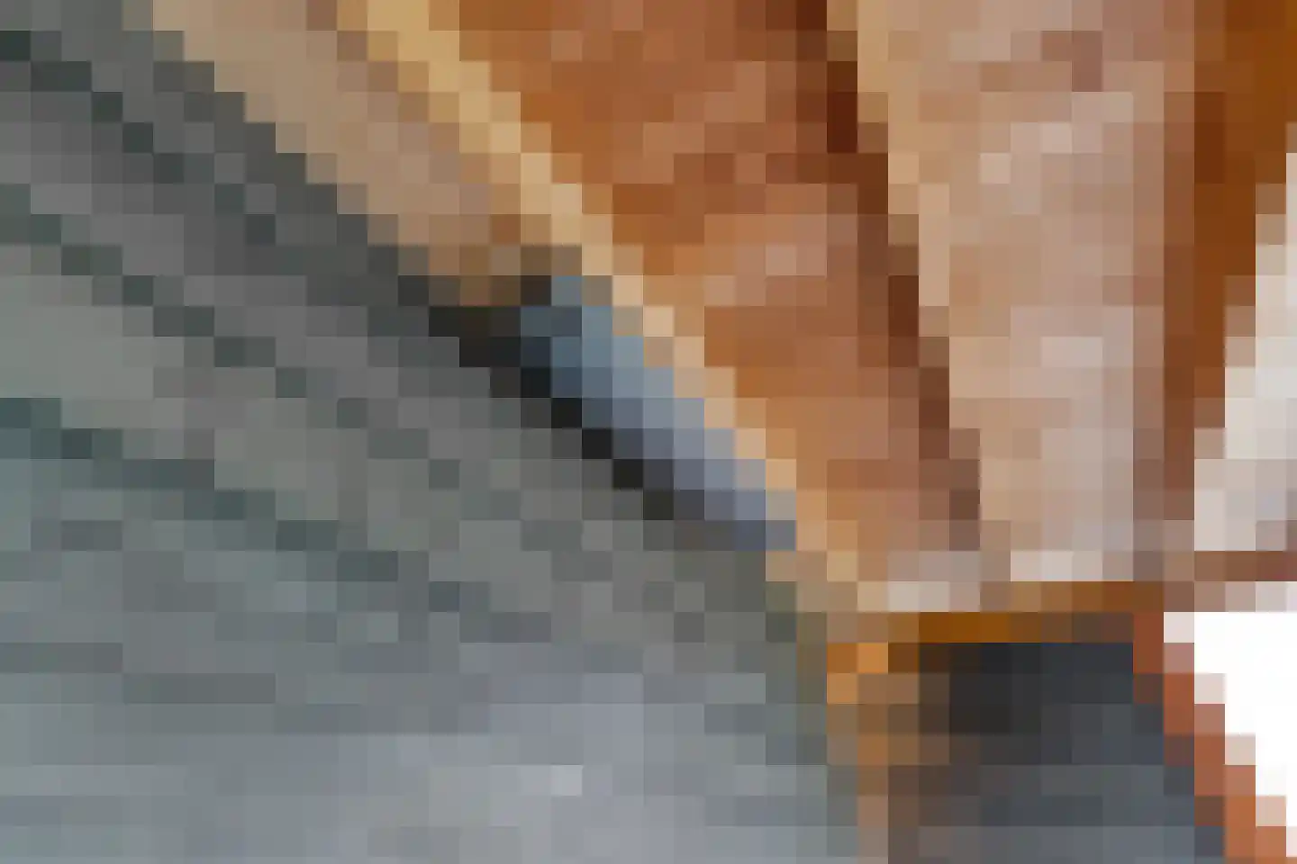 Van Voorststraat 29 Hardenberg thumbnail 48