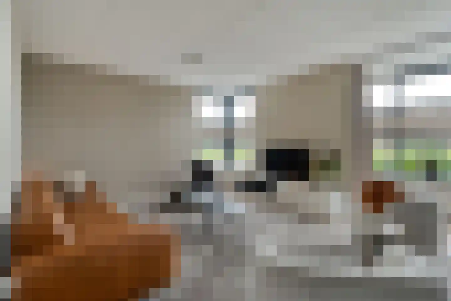 Van Voorststraat 29 Hardenberg thumbnail 5